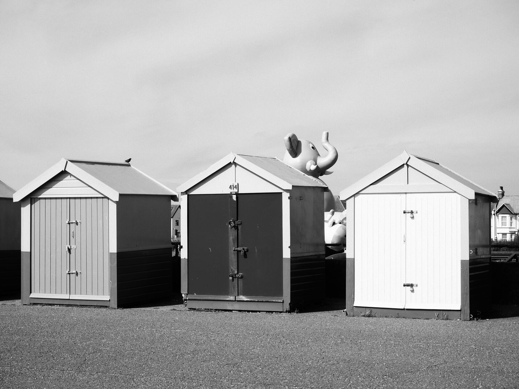 Hove Elephant